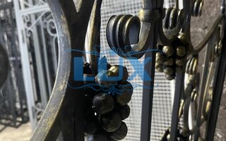 дутая решетка с коваными узорами - виноградная гроздь с внутренней стороны